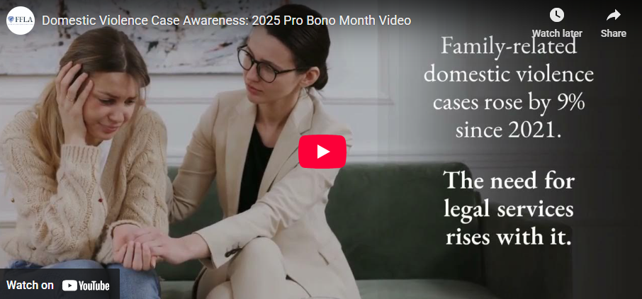 Domestic Violence Pro Bono Case Awareness